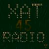 undefined XAT45 Radio Previously