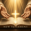 undefined Holy Bible 24/7