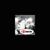 undefined 1000fm
