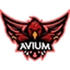 undefined aviumfm
