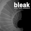 undefined bleak radio 