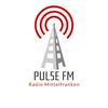 undefined Pulse FM