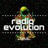 undefined radioevolution