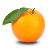 undefined Orange Radio