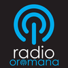 undefined Oromana Radio