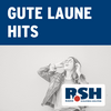 undefined R.SH Gute Laune Hits