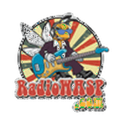 Radio WASP-DB