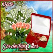 Radio RADIO COR DOS TEUS OLHOS