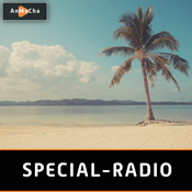 Radio special-radio