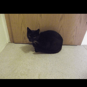 Radio Trauminsel Radio