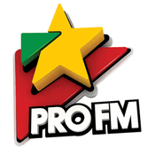 Radio Pro FM