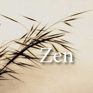 Escucha CALM RADIO - Zen en la aplicación