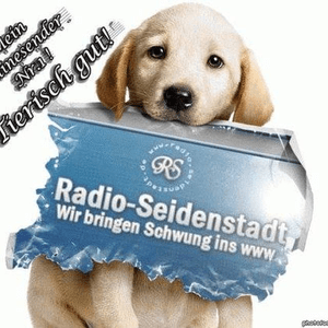 radio-seidenstadt