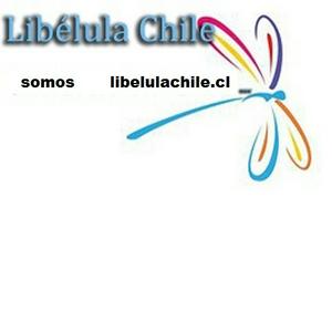 LibelulaChile.cl Señal 1
