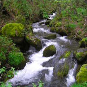 Ondas del río Guarapas 103.5 FM