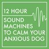 undefined 12 Hour Sound Machines to Calm Your Anxious Dog