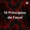 undefined 14 Principios de Fayol - Edgar Núñez