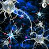 undefined Actividad 5 - Creación De Un Podcast De Corte Científico Sobre Las Neuronas
