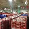 undefined Administración del capital del trabajo