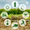 undefined Agricultura 4.0