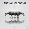 undefined Animal Cloning