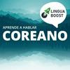 undefined Aprende coreano con LinguaBoost