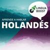 undefined Aprende holandés con LinguaBoost