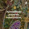 undefined Aprendiendo sobre las mitocondrias