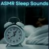 undefined ASMR Sleep Sounds