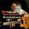 undefined Barracuda Breakdowns