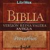 undefined Bible (Reina Valera) 20: Libro de los Proverbios by Reina-Valera