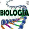 undefined Biología (con Andrés)