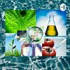undefined Biología Molecular