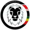 undefined BJJ Tripping Podcast