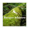 undefined Bosque Adentro, meditación y espiritualidad con Nicolás Achury