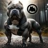 undefined Bully Girl Magazine Podcast