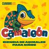 undefined Camaleón: Ciencia de animales para niños