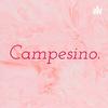 undefined Campesinos