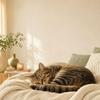undefined Cat Calming Music - Sleep, Anxiety & Home Alone