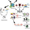 undefined CÁTEDRA DE NEGOCIOS INTERNACIONALES