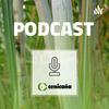 undefined Cenicaña | Podcast