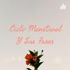 undefined Ciclo Menstrual Y Sus Fases