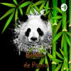undefined Conversatorio en el Bambú de Panda