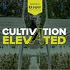 undefined Cultivation Elevated - Indoor Farming, Cannabis Growers & Cultivators - Pipp Horticulture