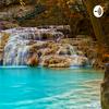 undefined Curiosidades de la naturaleza