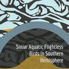 undefined Flightless Bird Podcast