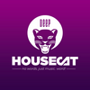 undefined Deep House Cat