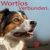 undefined Deine Gassi-Runde als Heldenreise  mit Deinem Hund wortlos verbunden!