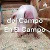 undefined del Campo En El Campo