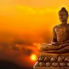 undefined Dhamma City